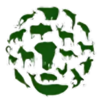 Untitled-design-2024-11-07T220055.004