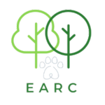 Untitled-design-2024-11-07T221519.052