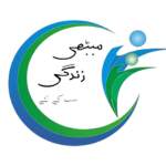 Untitled-design-2024-11-07T221624.947