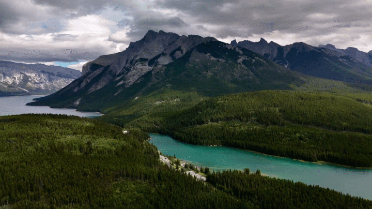 vlcsnap-2026-01-05-20h40m04s225