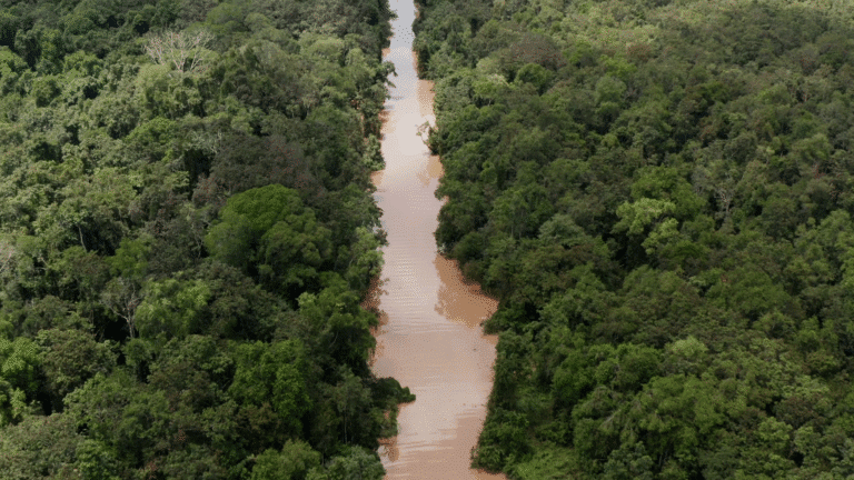 vlcsnap-2026-01-05-20h40m40s368